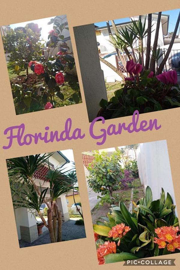 Florinda B&B Viareggio Exterior foto